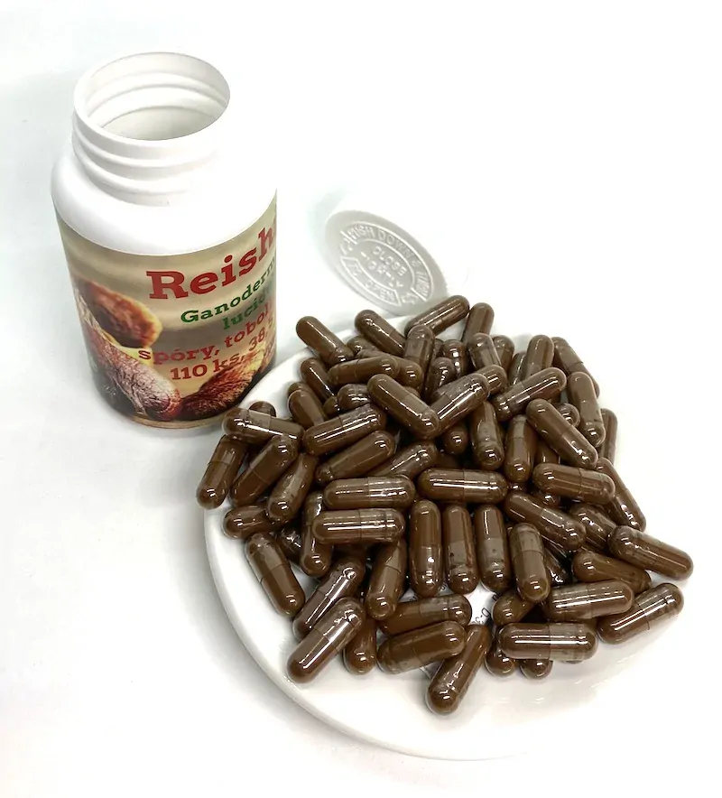 Lesklokorka lesklá - spóry, tobolky (Reishi, Ganoderma)  100 ks, 35 g