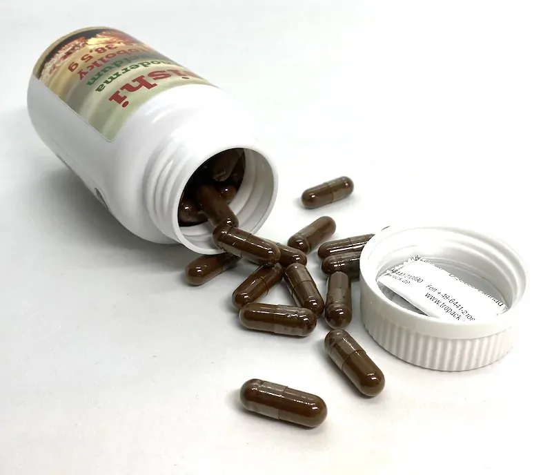 Lesklokorka lesklá - spóry, tobolky (Reishi, Ganoderma)  100 ks, 35 g
