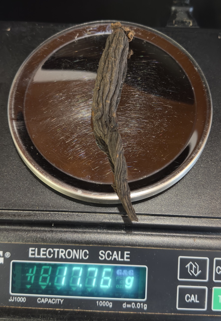 Ženšen, korejský, celý, ČERNÝ, 23,75 g, certifikovaný, rarita z Koreje 