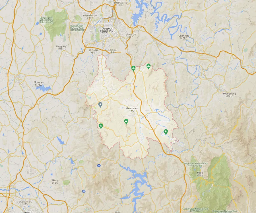 Ženšen korejský černý, prášek, 110 g