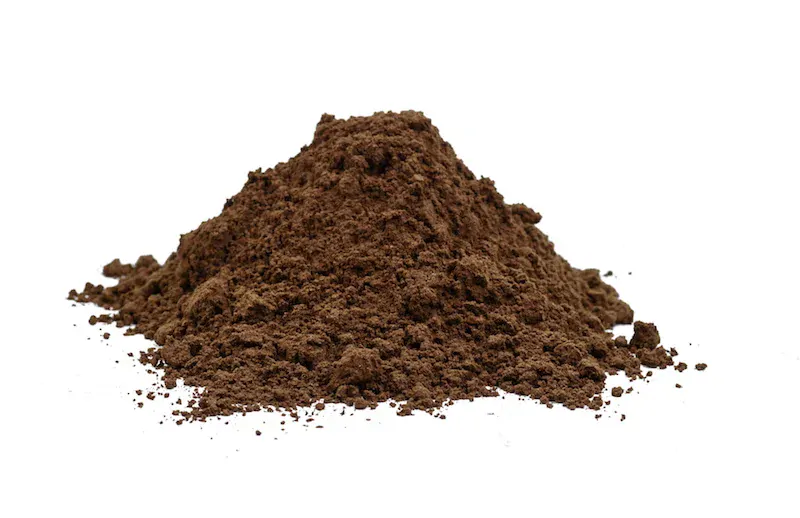 Lesklokorka lesklá - spóry, tobolky (Reishi, Ganoderma)  100 ks, 35 g