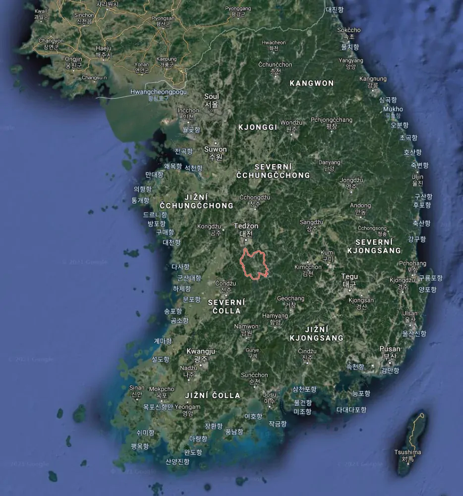 Ženšen korejský černý, prášek, 110 g