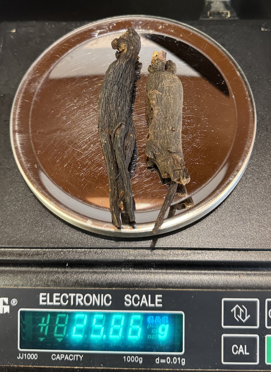 Ženšen, korejský, celý, ČERNÝ, 23,75 g, certifikovaný, rarita z Koreje 