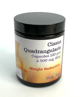 Cikusan 120, á 500 mg, 120 tobolek - spalovač tuků, na účinné hubnutí, 60000 mg